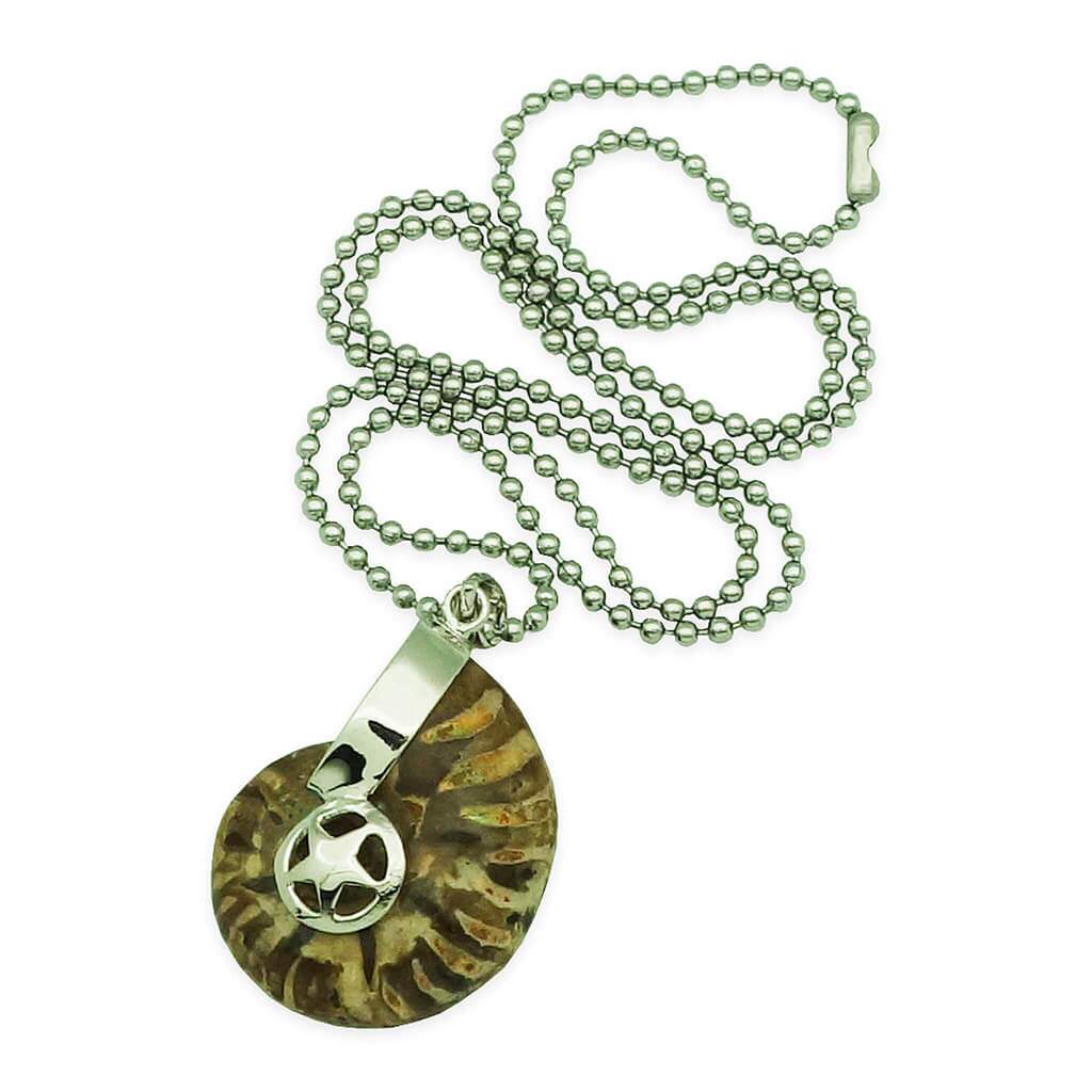 Ancient Ammonite Pendant - Wealth Absorber