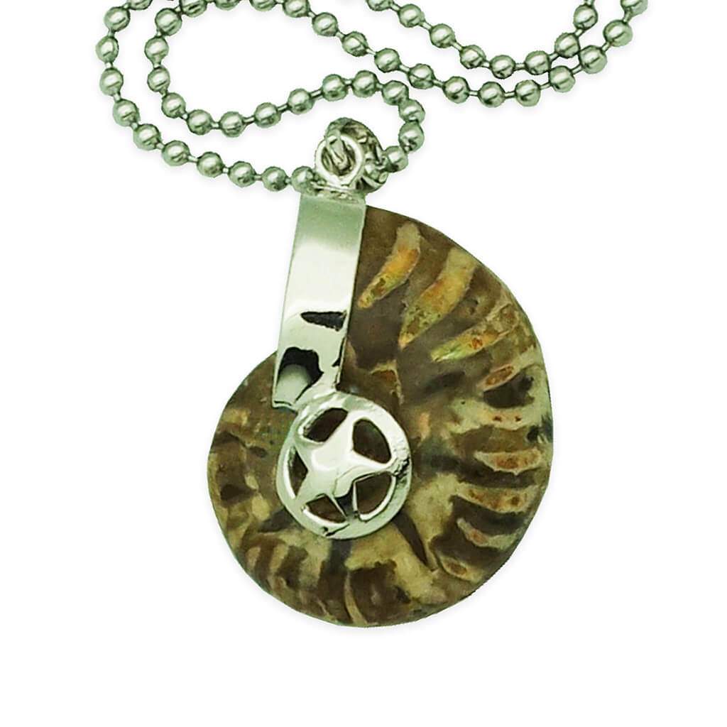 Ancient Ammonite Pendant - Wealth Absorber